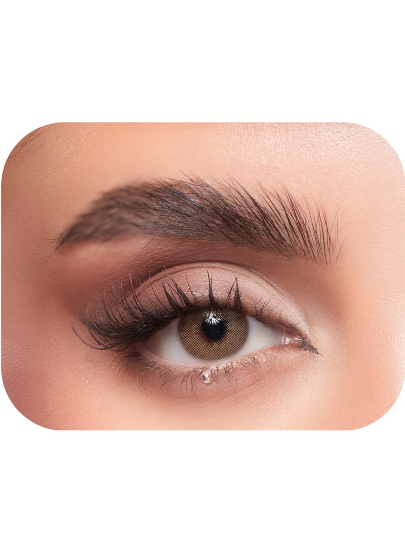 عدسات لاصقة براند ايليت إستخدام شهرى ، زوج فى العلبة  لون الموند - Image 1